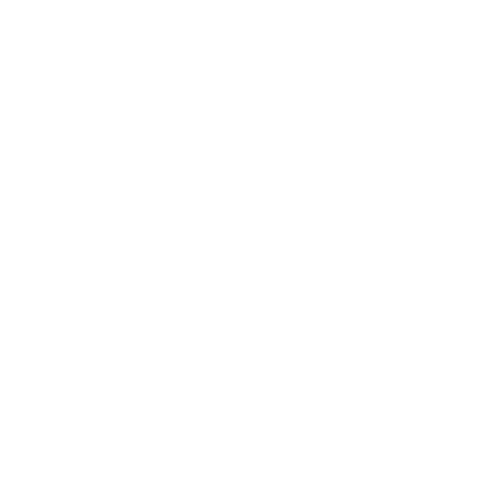 Snocks Logo