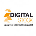 digitalstocks Logo