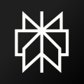 Perplexity Logo