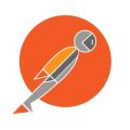Postman Logo