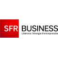 SFR Business Team Logo