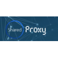 Shared Proxy Logo