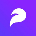 Store Rocket Logo